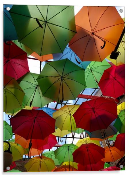 Umbrellas Acrylic by camera man