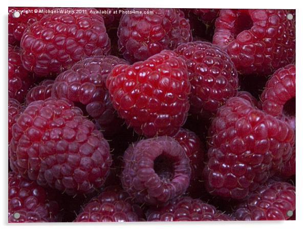 Red Raspberries Acrylic by Michael Waters Photography