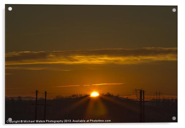 Peek-A-Boo Acrylic by Michael Waters Photography