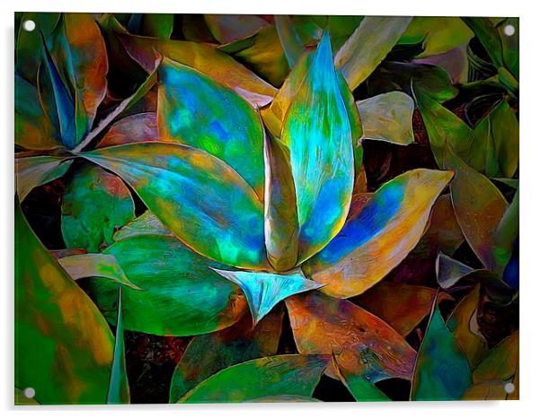 colorful cactus Acrylic by john kolenberg