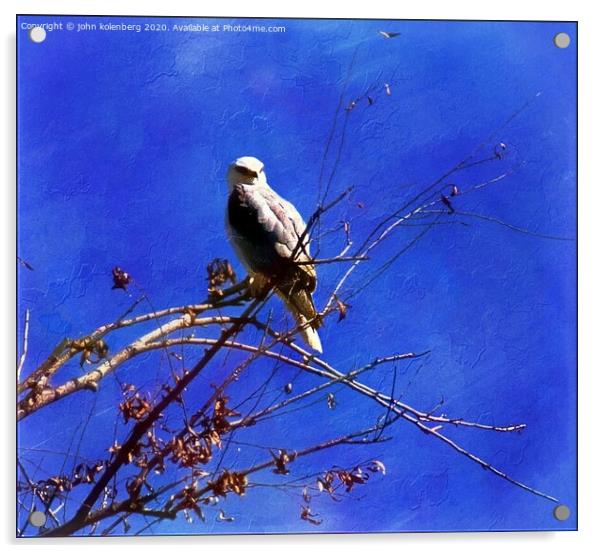 winter eagle Acrylic by john kolenberg