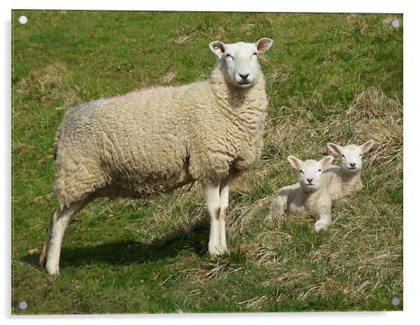 Family Portrait Acrylic by Alan Kirkby