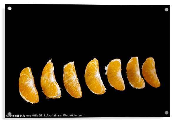 Orange segments Acrylic by James Mills