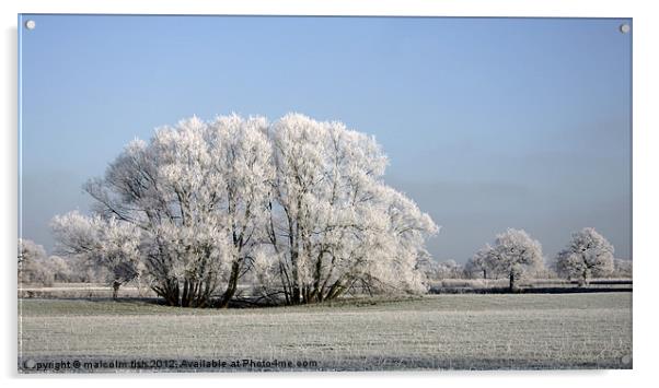 Frosty Morning Acrylic by malcolm fish