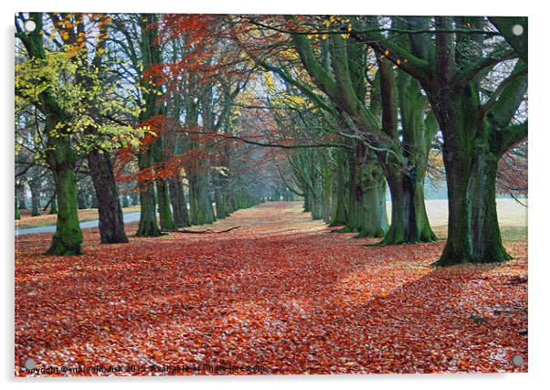 TATTON WALK Acrylic by malcolm fish