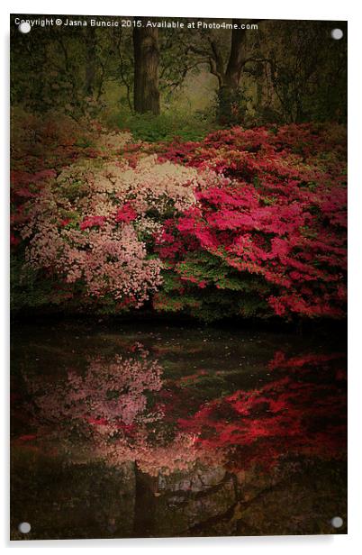 Enchanted Garden  Acrylic by Jasna Buncic