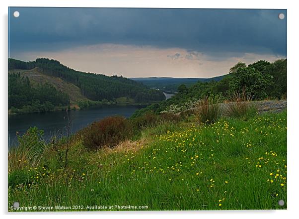 Loch Trool Acrylic by Steven Watson