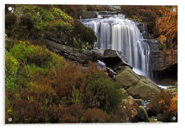 Hambleton Dyke Waterfall Acrylic by Steven Watson