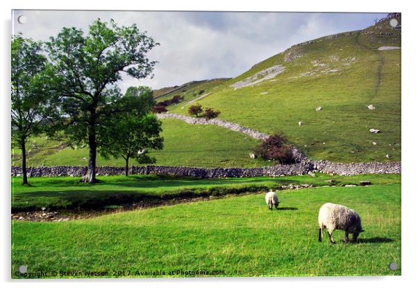 Sheep May Safely Graze Acrylic by Steven Watson