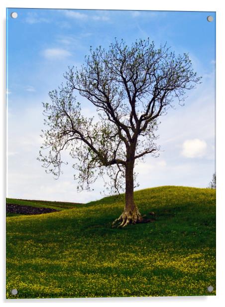 A Keld Tree Acrylic by Steven Watson