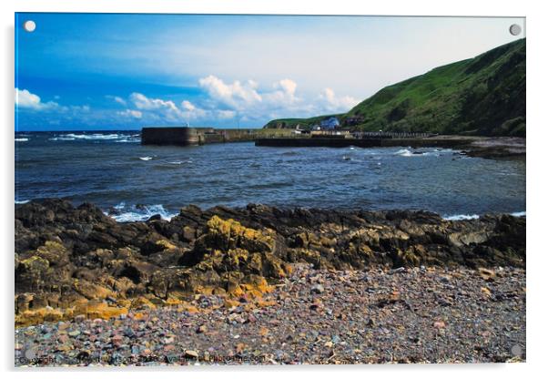 Burnmouth Acrylic by Steven Watson