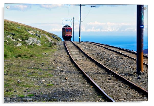 The Snaefell Mountain Railway Acrylic by Steven Watson