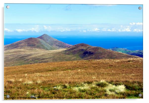 North Barrule from Snaefell Summit Acrylic by Steven Watson