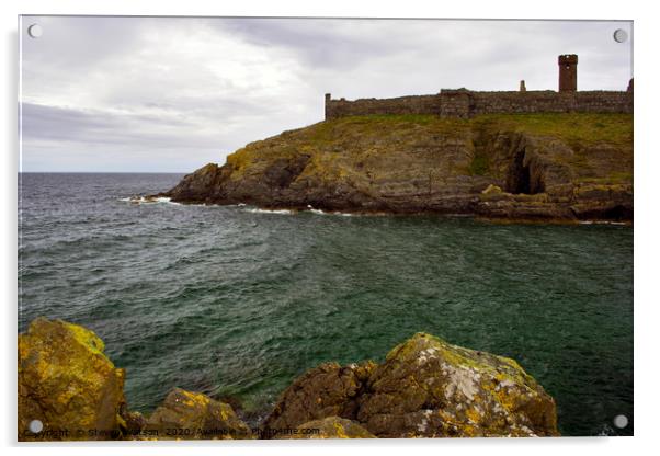 St. Patrick's Isle  Acrylic by Steven Watson