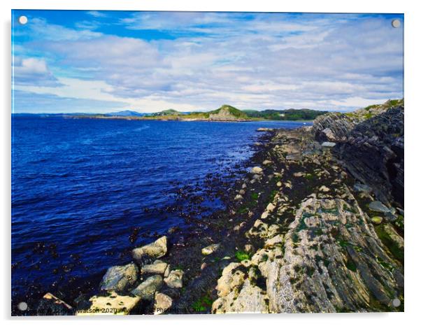 At Craignish Point Acrylic by Steven Watson
