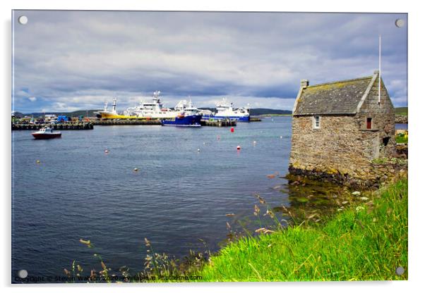 Symbister Harbour  Acrylic by Steven Watson