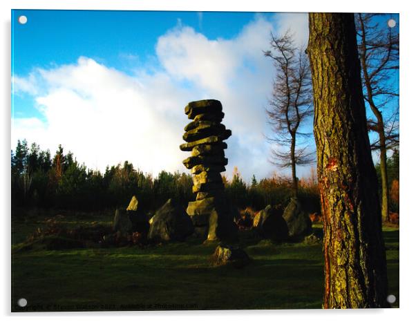 Folly in Druids Wood Acrylic by Steven Watson