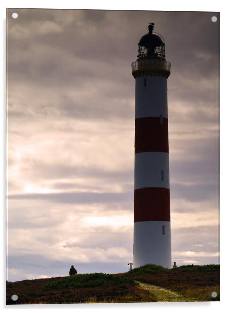 Tarbat Ness Lighthouse Acrylic by Steven Watson