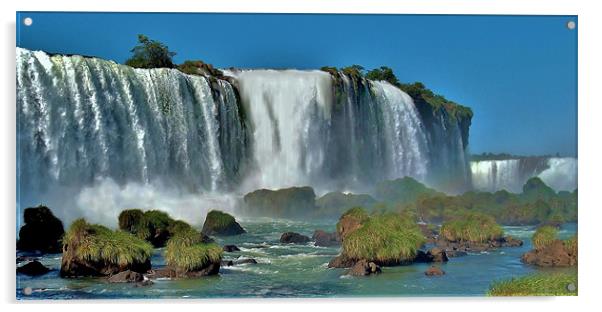 Iguazu Falls. Acrylic by wendy pearson