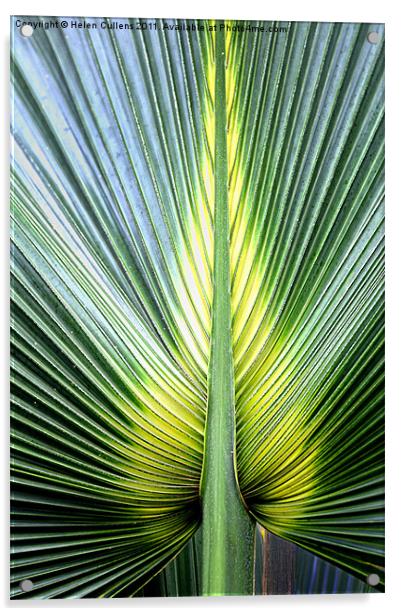 PALM LEAF Acrylic by Helen Cullens