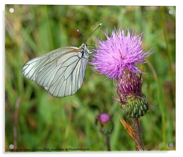 BLACK VEINED WHITE Acrylic by Helen Cullens