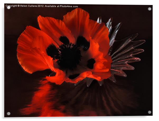 GLAMOUR POPPY Acrylic by Helen Cullens