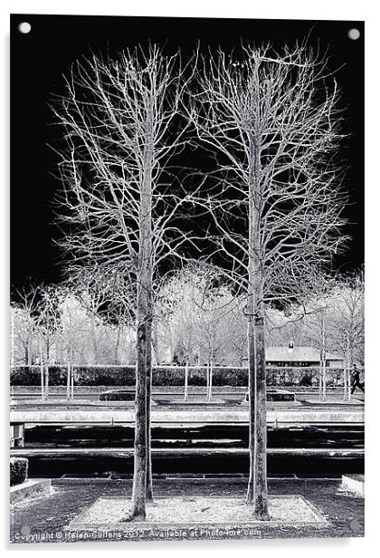 TREES IN BATTERSEA PARK Acrylic by Helen Cullens