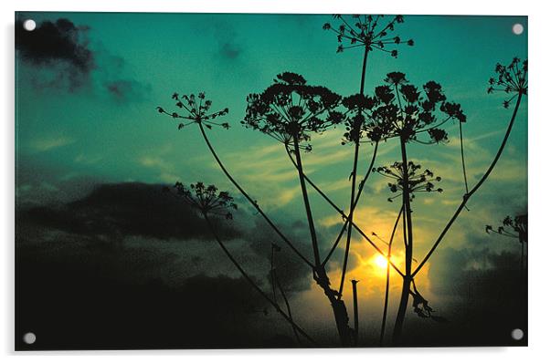 Sunset Acrylic by Derek Vines