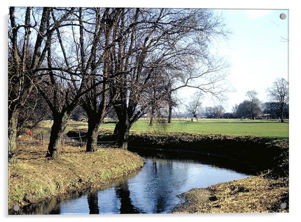 Hartham Common Acrylic by Derek Vines