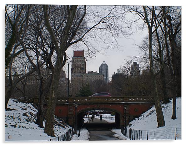NEW YORK CENTRAL PARK Acrylic by radoslav rundic