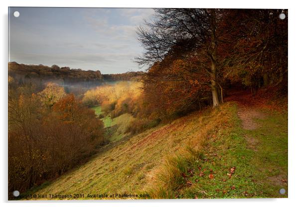 View into River Bybrook Valley Acrylic by Karl Thompson