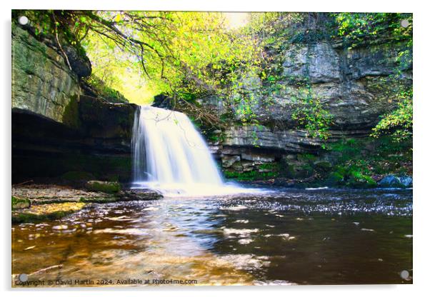 Bishopdale waterfall 9 Acrylic by David Martin