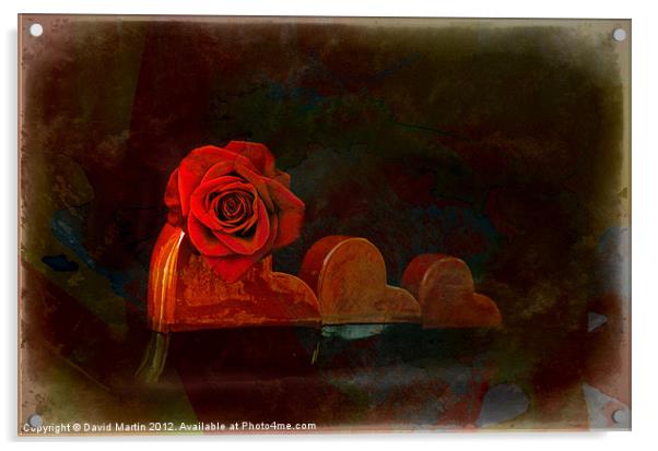 Red rose Acrylic by David Martin