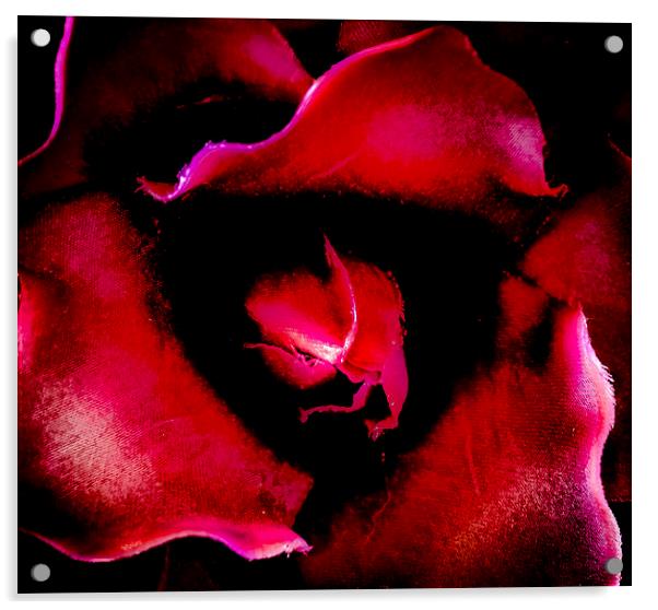  Blood Rose Acrylic by David Martin