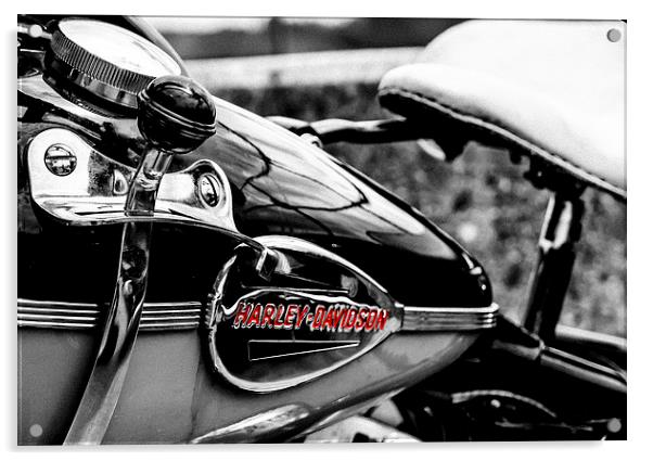  Harley Davidson Acrylic by David Martin