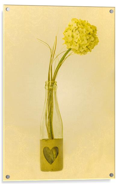  Yellow Flower Acrylic by David Martin