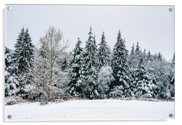 Winter-2 Acrylic by David Martin