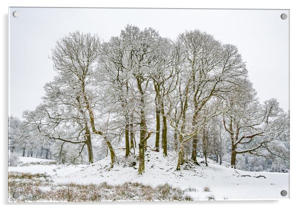 Winter-14 Acrylic by David Martin