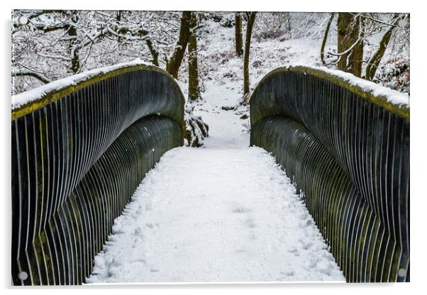 Winter-18 Acrylic by David Martin