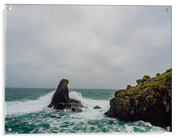 Lizard Point Acrylic by David Martin