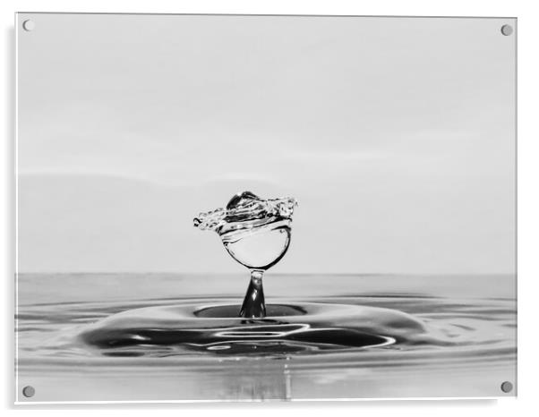 Water Droplet Acrylic by David Martin