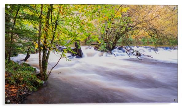 The Enchanting Autumnal Beauty of River Teign Acrylic by David Martin