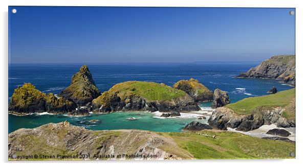 Cornish panorama Acrylic by Steven Plowman