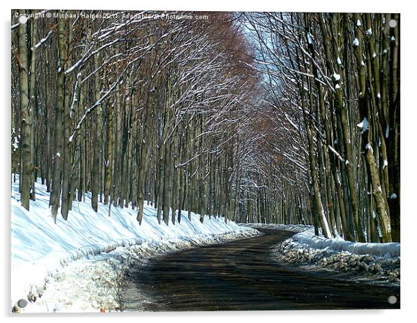 Mountain Pass in the Snow Acrylic by Michael Harper