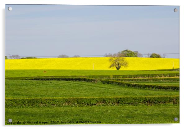 A Field of Rapeseed in Springtime Acrylic by Michael Harper