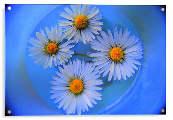 Flower PD Acrylic by Pratik Darji