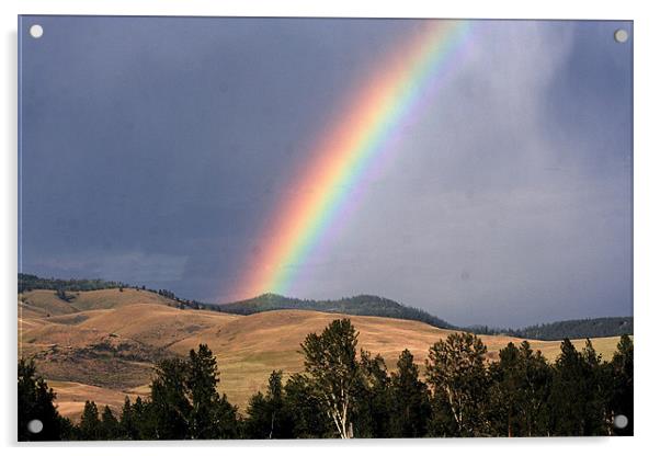 Rainbow in  Montana, Acrylic by Larry Stolle