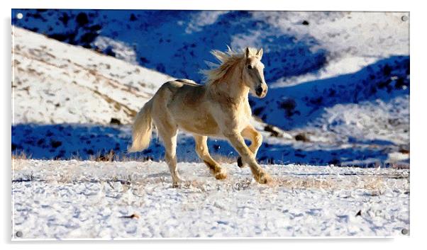 HORSE RUNNING in SNOW Acrylic by Larry Stolle