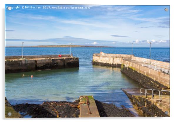 Stroma From John O'Groats Harbour Acrylic by Bill Buchan