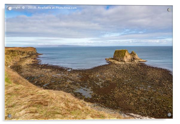 Clett Rock At Dunnet Head Acrylic by Bill Buchan